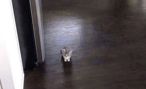 fettyk1tty header picture leakfans.com