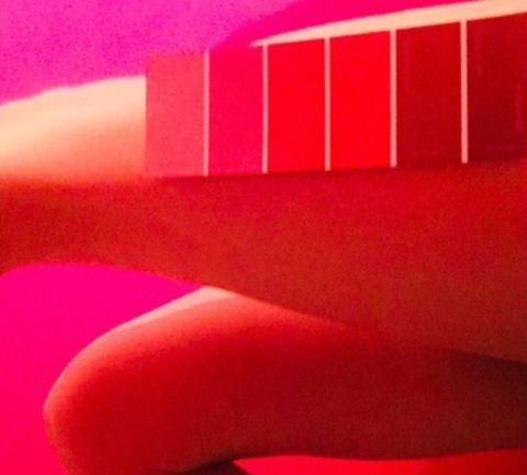 fffflower header picture leakfans.com