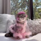 fierynymph profile picture leakfans.com