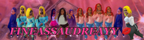 Header of fineassaudreyy