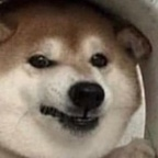 fiorini profile picture leakfans.com