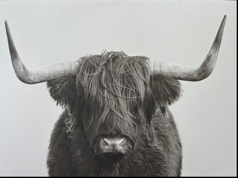 fit_guy8888 header picture leakfans.com