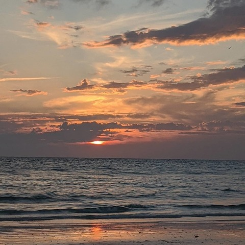 flbrandi header picture leakfans.com