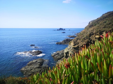 flickchick77 header picture leakfans.com