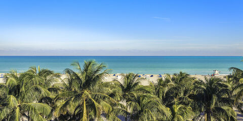 Header of floridakidd83