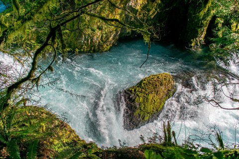 flower_fairy header picture leakfans.com