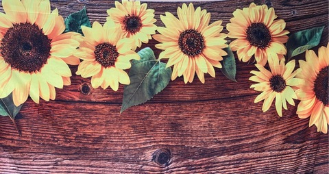 fluffychick30 header picture leakfans.com