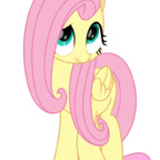 fluttershy02 profile picture