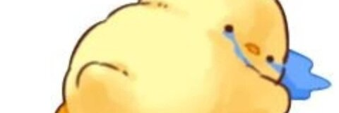 fockuoka header picture leakfans.com