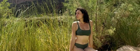 forest-fox header picture leakfans.com