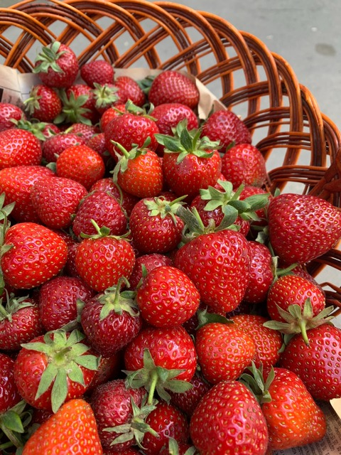 forget_me_not1994 header picture leakfans.com