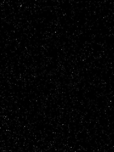 fox_hole header picture leakfans.com