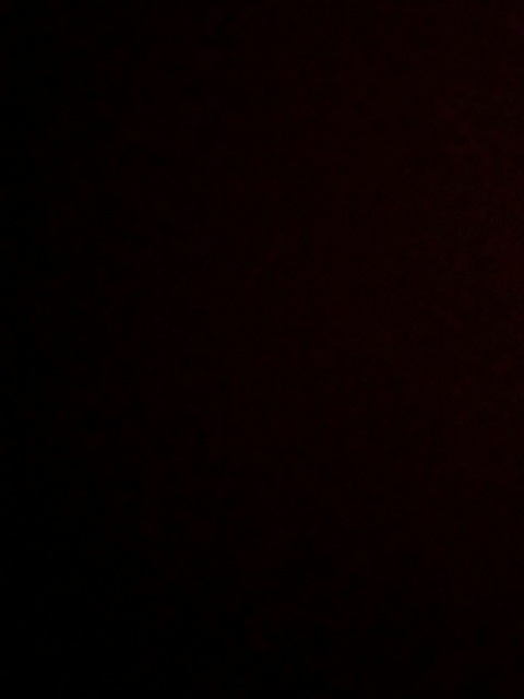 foxyman55 header picture leakfans.com