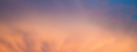 francescawalls header picture leakfans.com