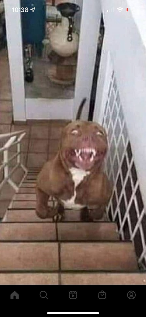 francizbballin69 header picture leakfans.com