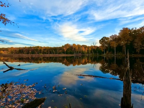 freakynudist69 header picture leakfans.com