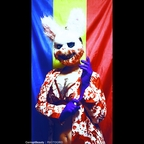 freecorruption profile picture leakfans.com