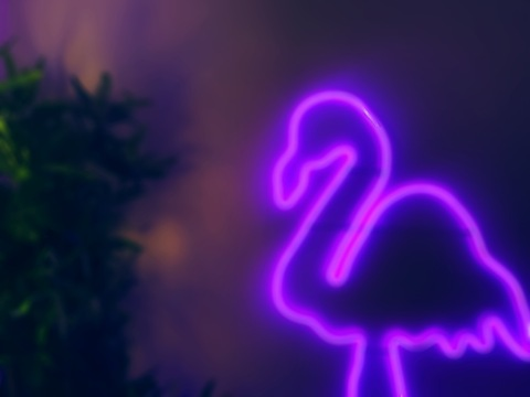 freejasminesummer header picture leakfans.com