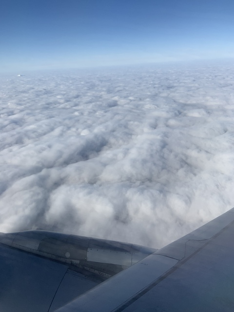 frlsk_penguin header picture leakfans.com