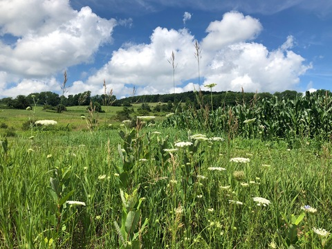 frogmoding header picture leakfans.com