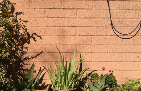 frxnciscxo header picture leakfans.com