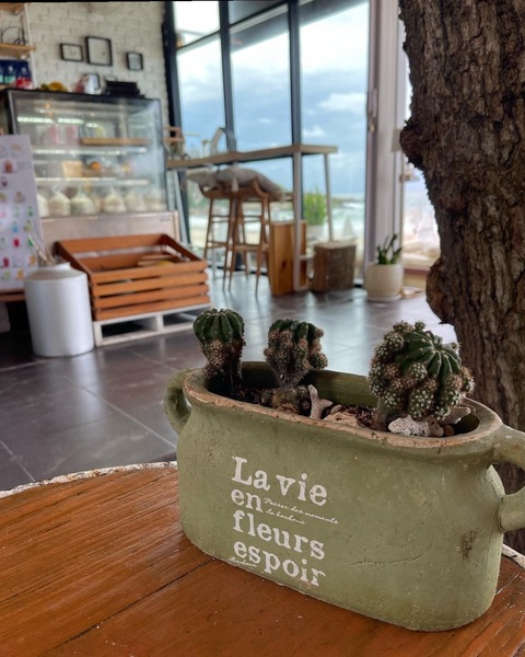 fvckbrownie header picture leakfans.com