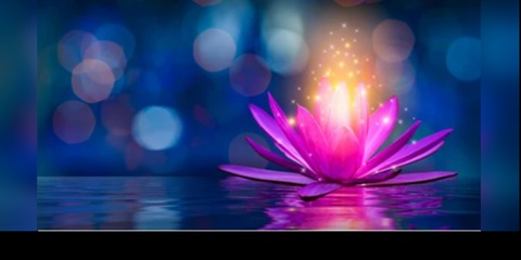 gardenoflotus header picture leakfans.com