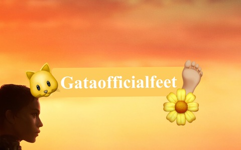 gataofficialfeet header picture leakfans.com
