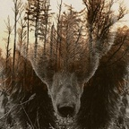 geoff86377039 profile picture leakfans.com