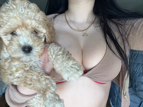 gettabag header picture leakfans.com