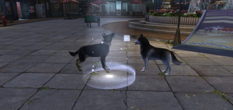 gingar header picture leakfans.com