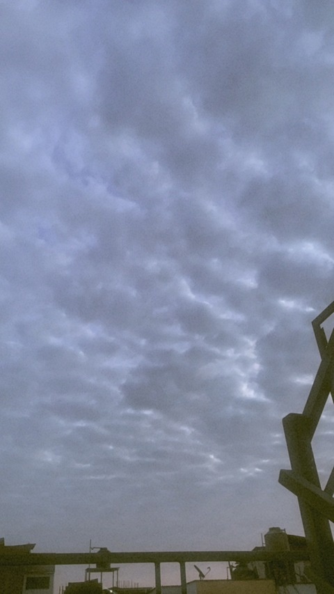 gingerale1 header picture leakfans.com