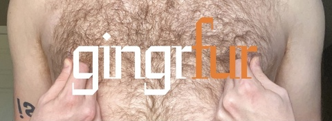 Header of gingrfur