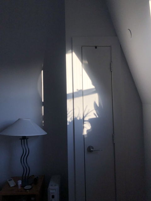 girlbug header picture leakfans.com