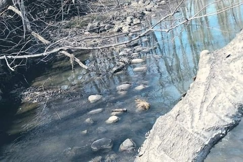 girlydeadhead header picture leakfans.com