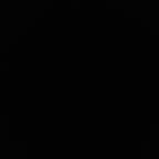 gisely profile picture leakfans.com