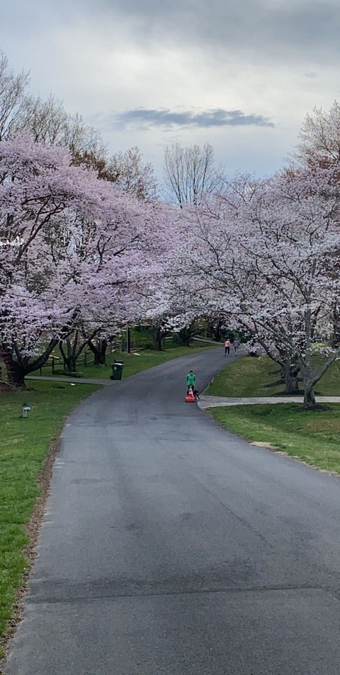 gkese header picture leakfans.com