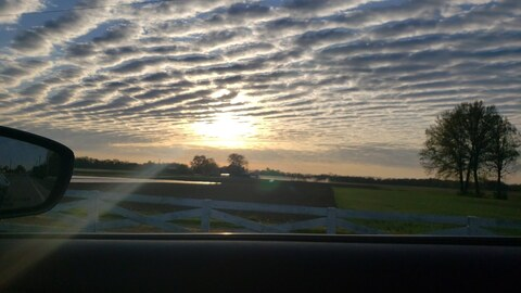 gmb97 header picture leakfans.com