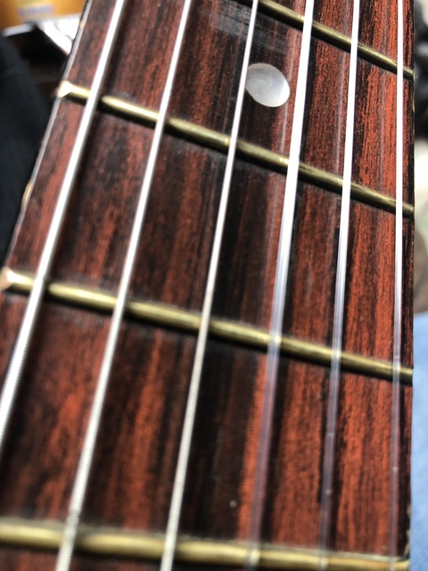 gnuj279 header picture leakfans.com