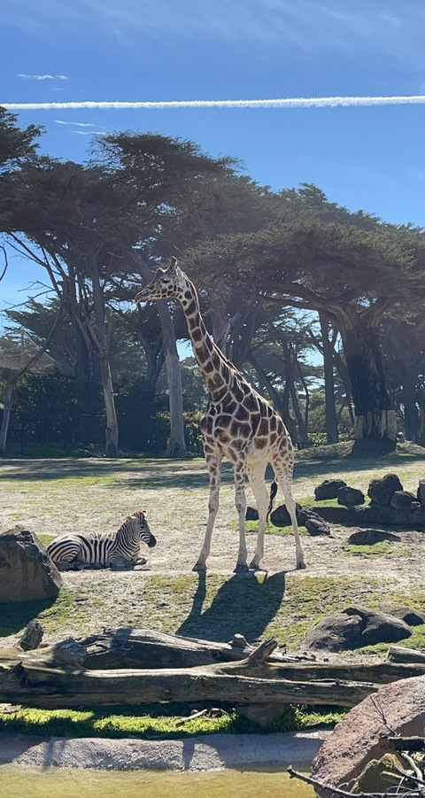 goatthroat559 header picture leakfans.com