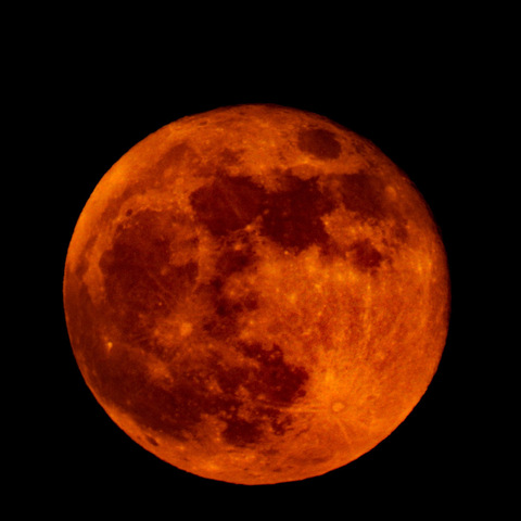 god_less_animal header picture leakfans.com