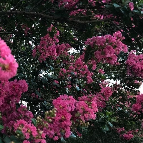 goddessjun header picture leakfans.com