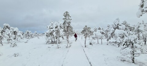 goldname header picture leakfans.com