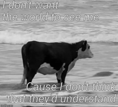 goldsoundz_ header picture leakfans.com