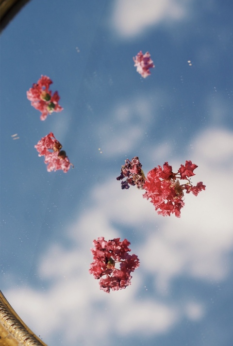 goneggirl header picture leakfans.com