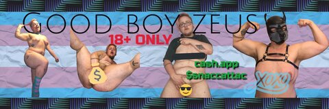 Header of goodboyzeus