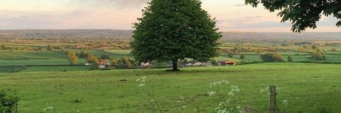 gracedelunafree header picture leakfans.com