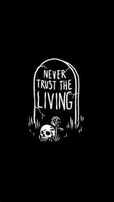 graciouswind header picture leakfans.com