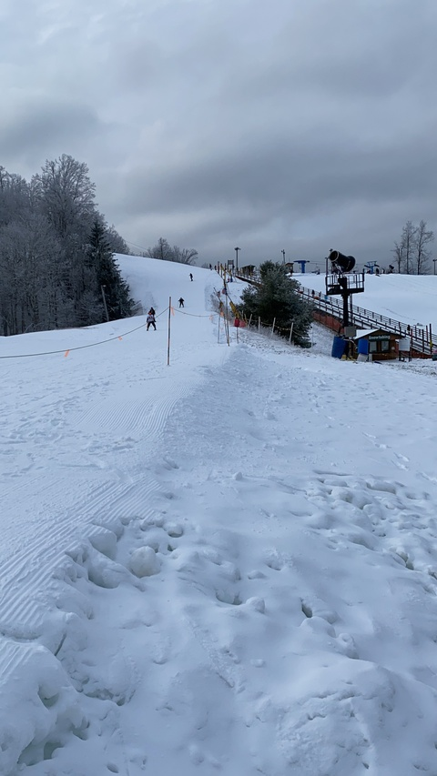 gradwithnocabbage header picture leakfans.com