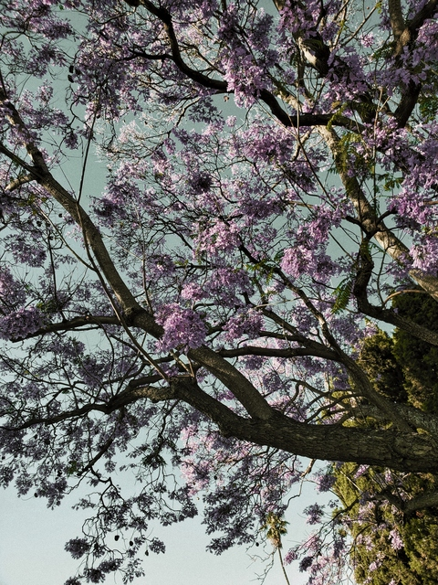 gretaaa777 header picture leakfans.com